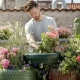 Man planting flowers on rooftop garden